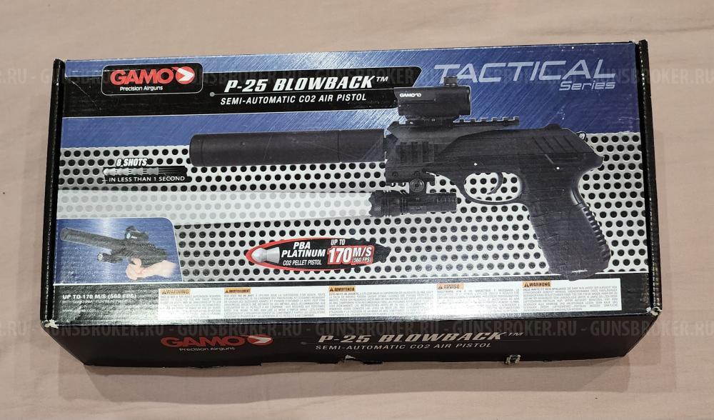 Gamo P-25 Tactical Blowback   