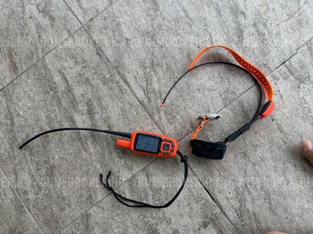 Garmin Astro 430 (Aмеpика ) и oшейник Т5