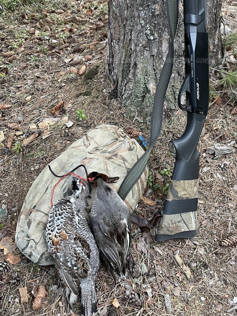 Girsan Enisey 12/76 760мм