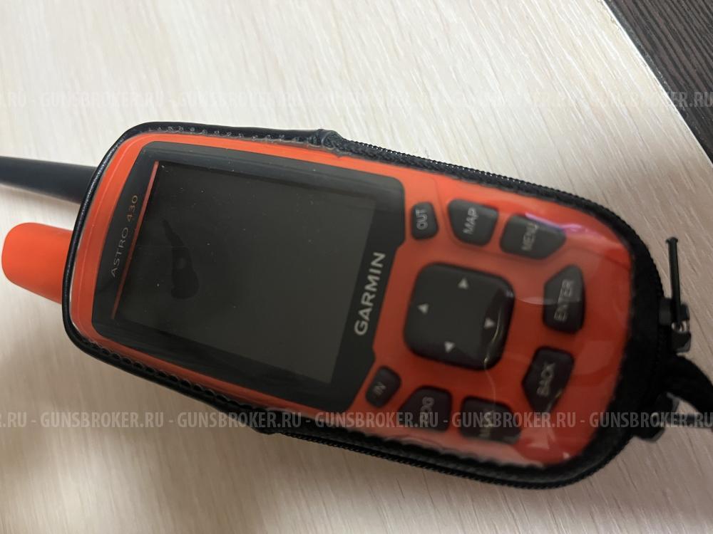 GPS навигатор с ошейником для собак Garmin Astro 430