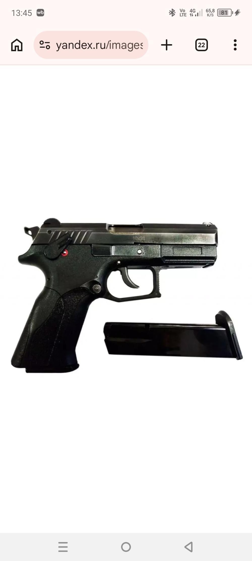 Grant Payer P-12
