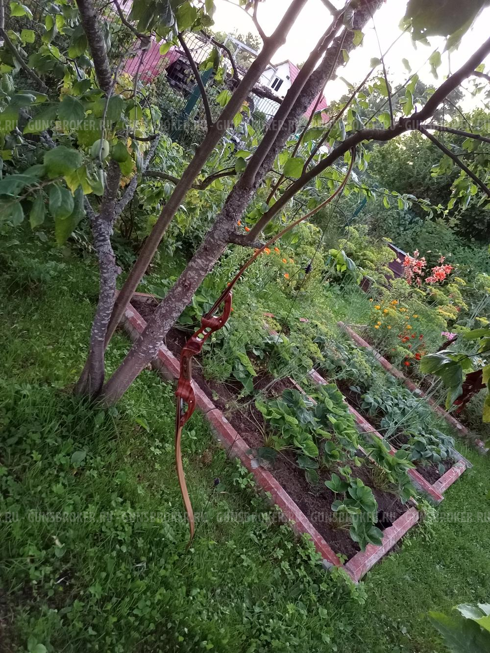 Hoyt Buffalo рекурсивный лук