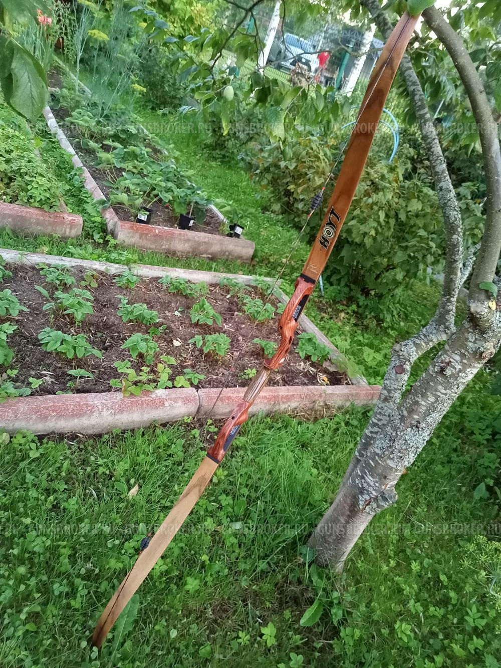 Hoyt Buffalo рекурсивный лук