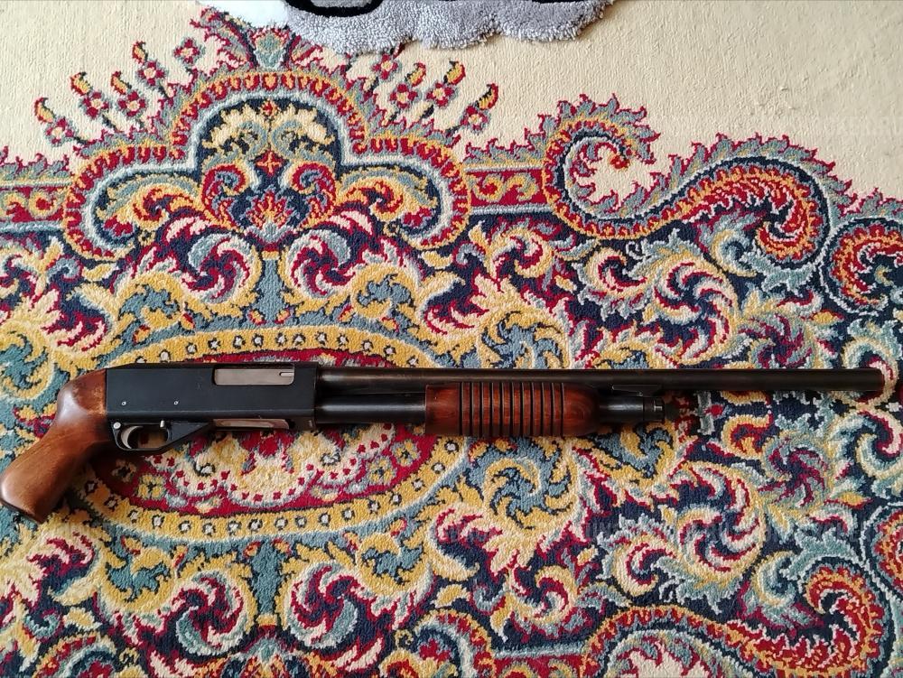 ИЖ - 81