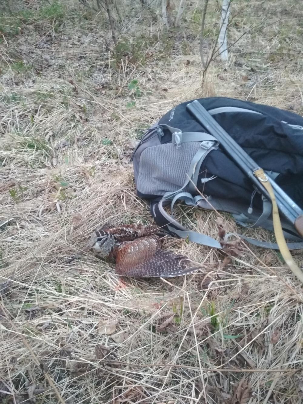 ИЖ-43, 12х70, как новое