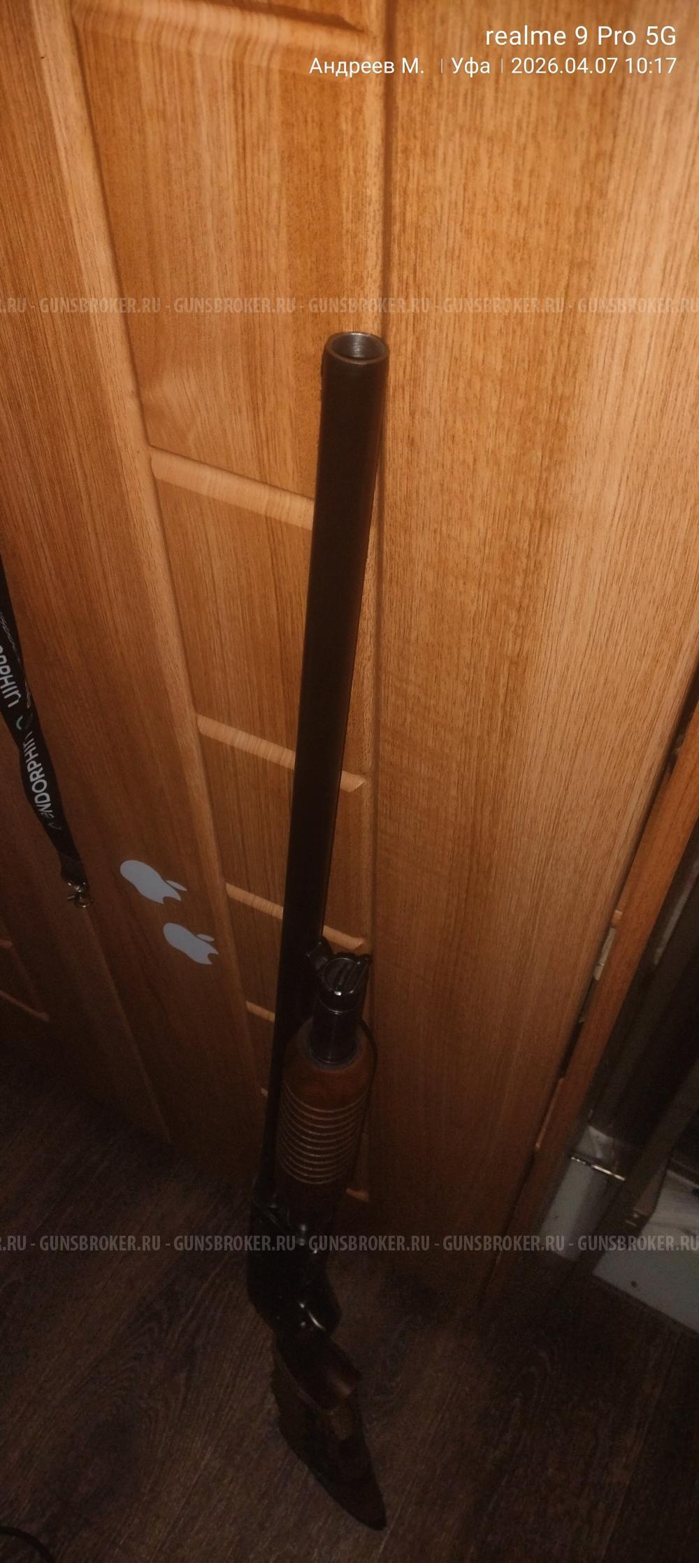 Иж-81 дерево орех