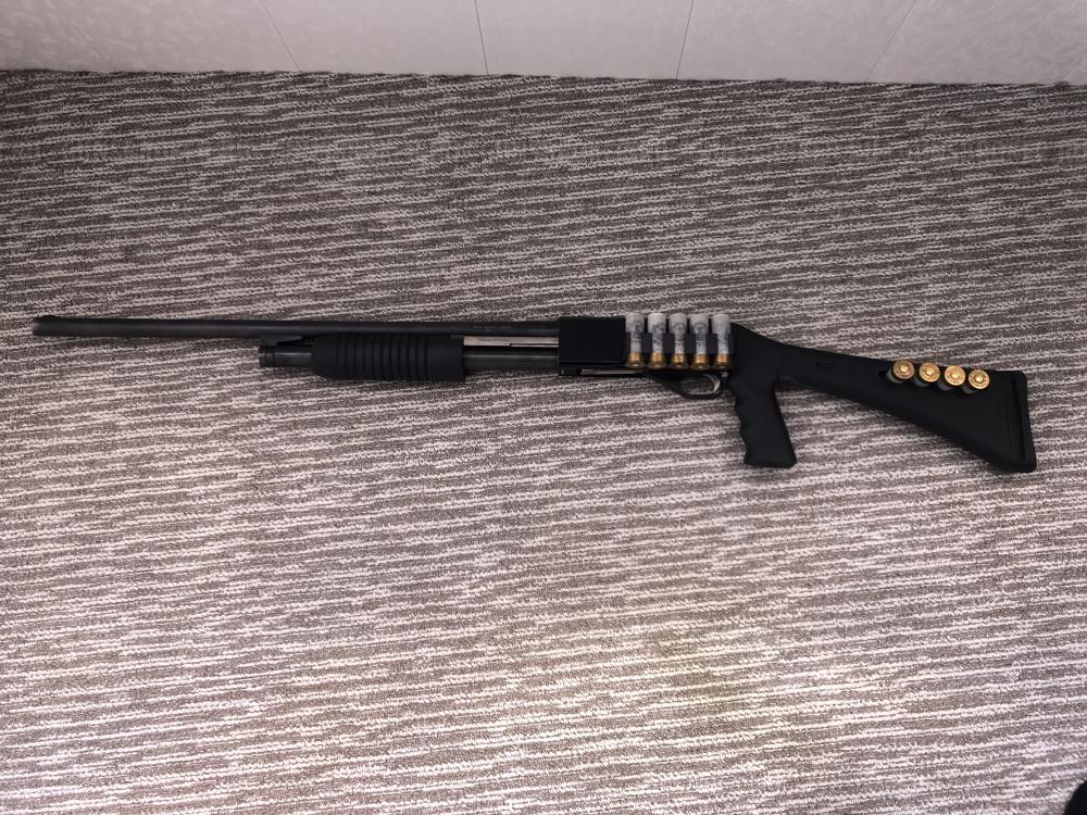 ИЖ-81 «Ягуар»