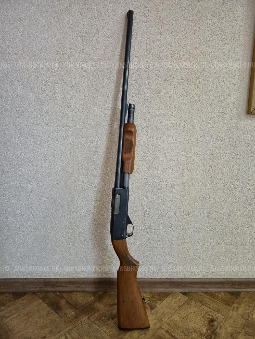 ИЖ 81