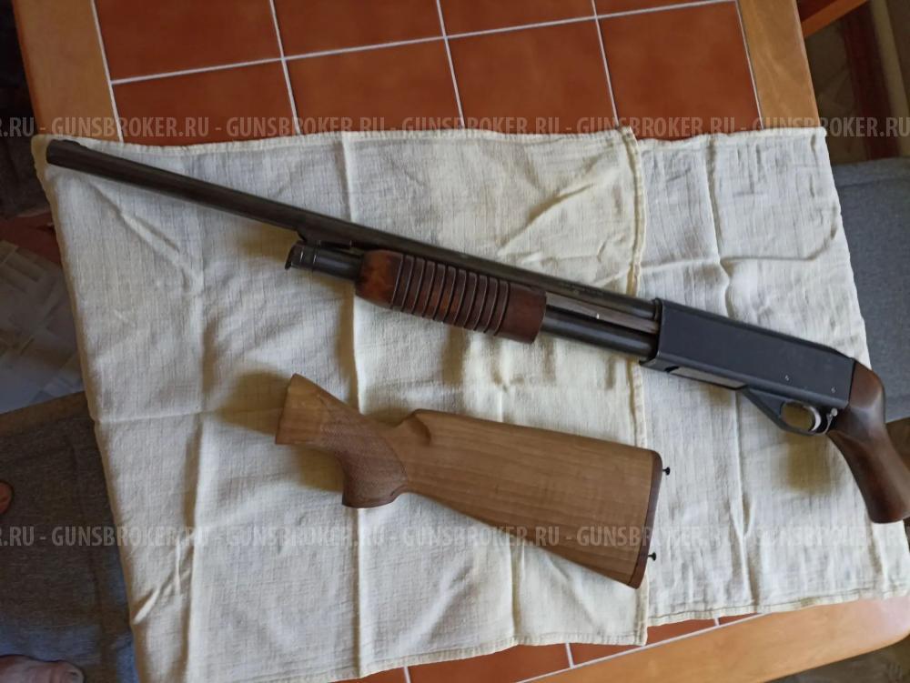 Иж-81
