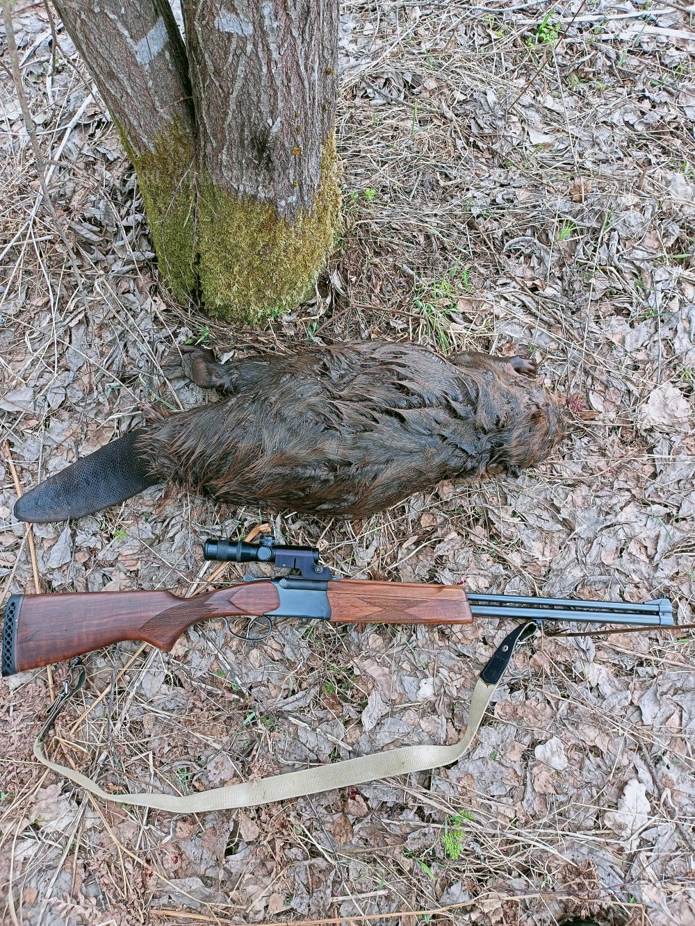 Иж 94 север. 5,6*39/20*76