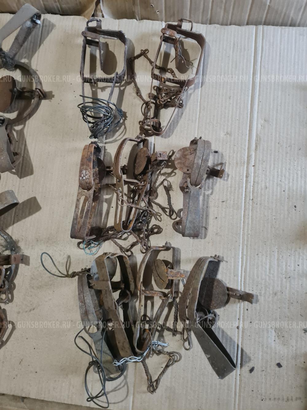 Капкан промысловый.