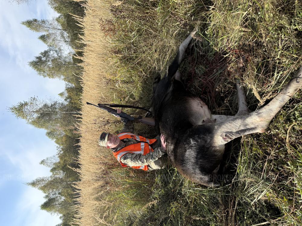 Карабин Sabatti GAGARIN к.30-06, дер. (510)