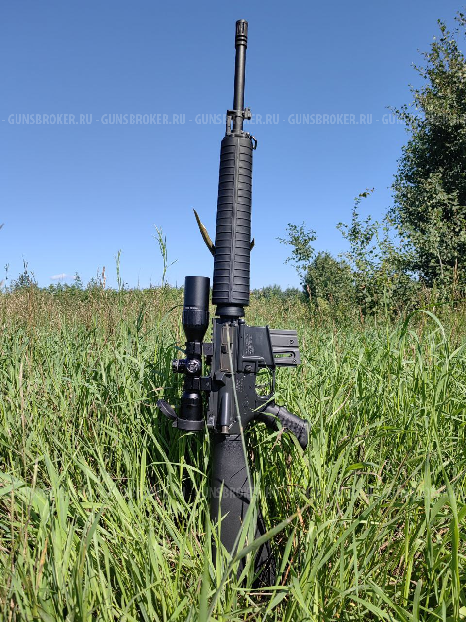 ТОЗ-99 карабин Walther Colt M16 Rifle 22 LR