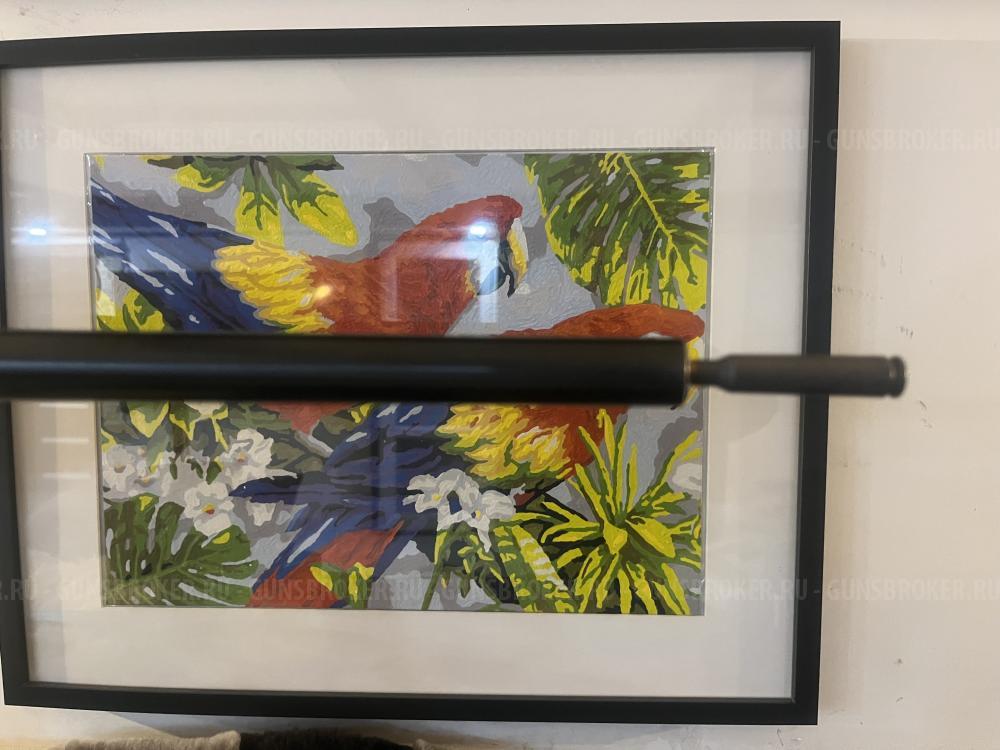 ОБМЕН , ПРОДАЖА HOWA 1500 223 Rem в обвесе BLECKHAWK AXSION 