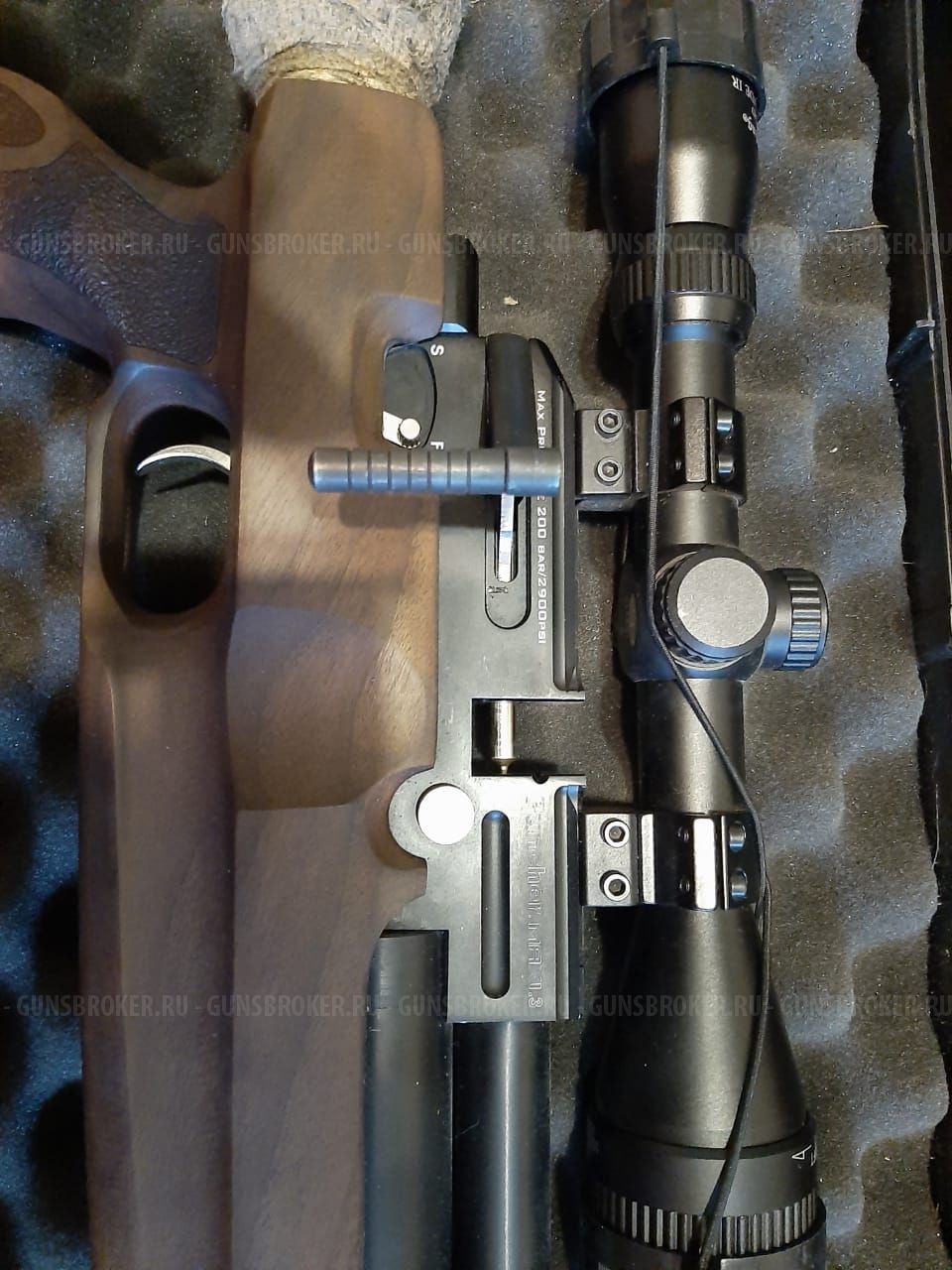 Крал панчер макси3 питбуль