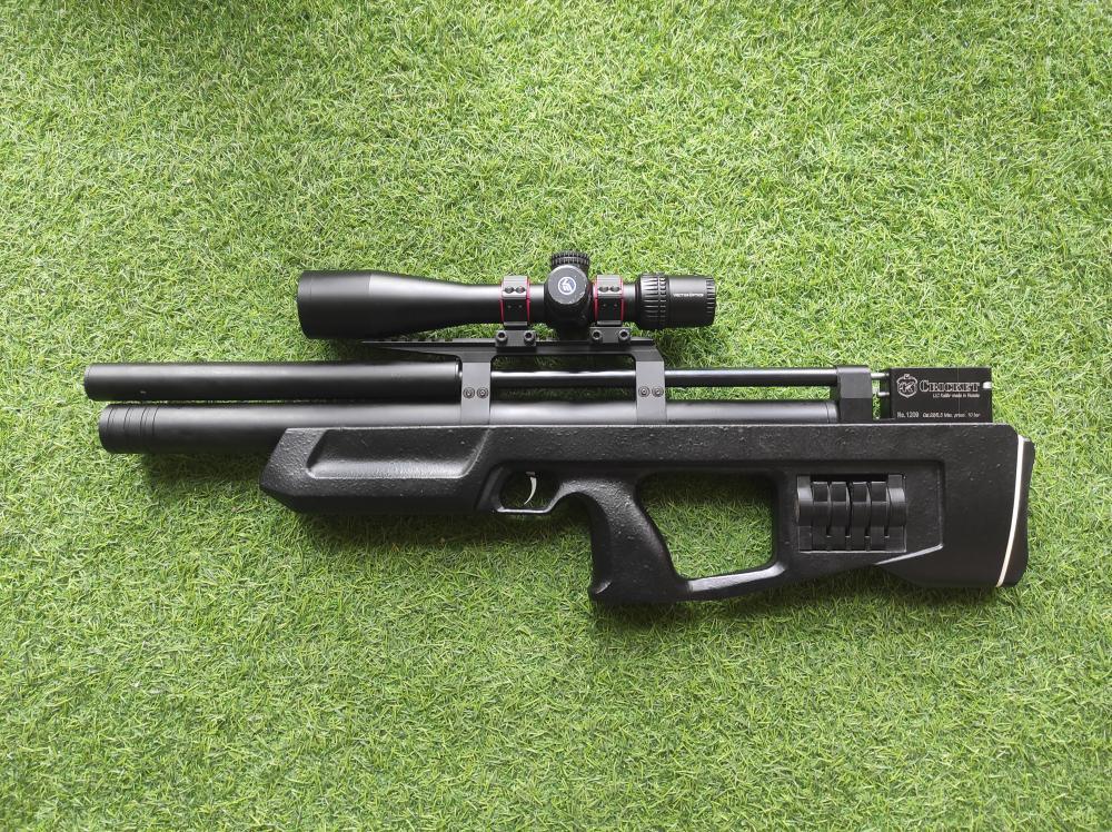 Крикет 5.5