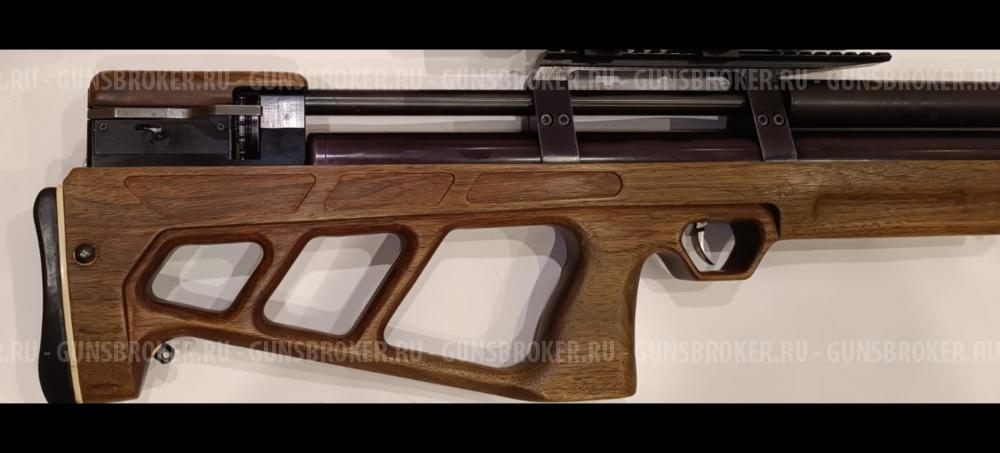 Крикет 5,5