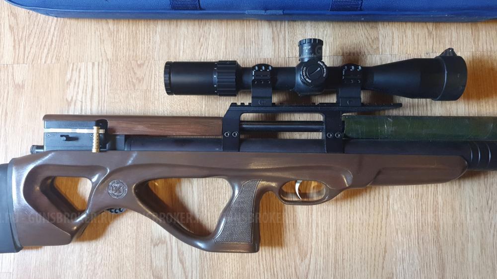 Крикет коротыш в 5,5