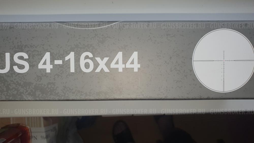 Крикет коротыш в 5,5