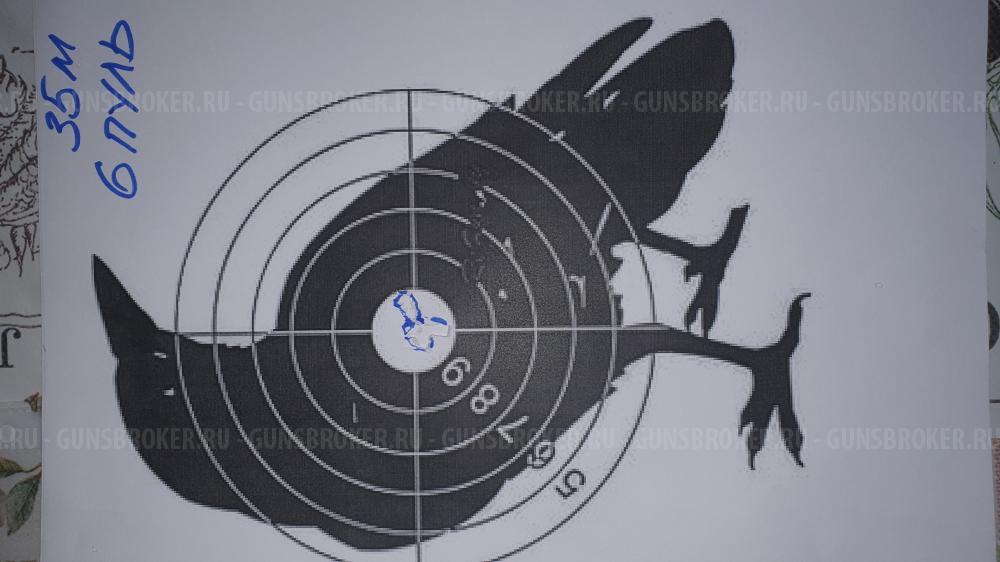 Крикет коротыш в 5,5