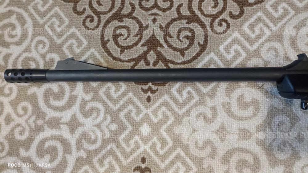 Лис , 223 кал, Ярославль