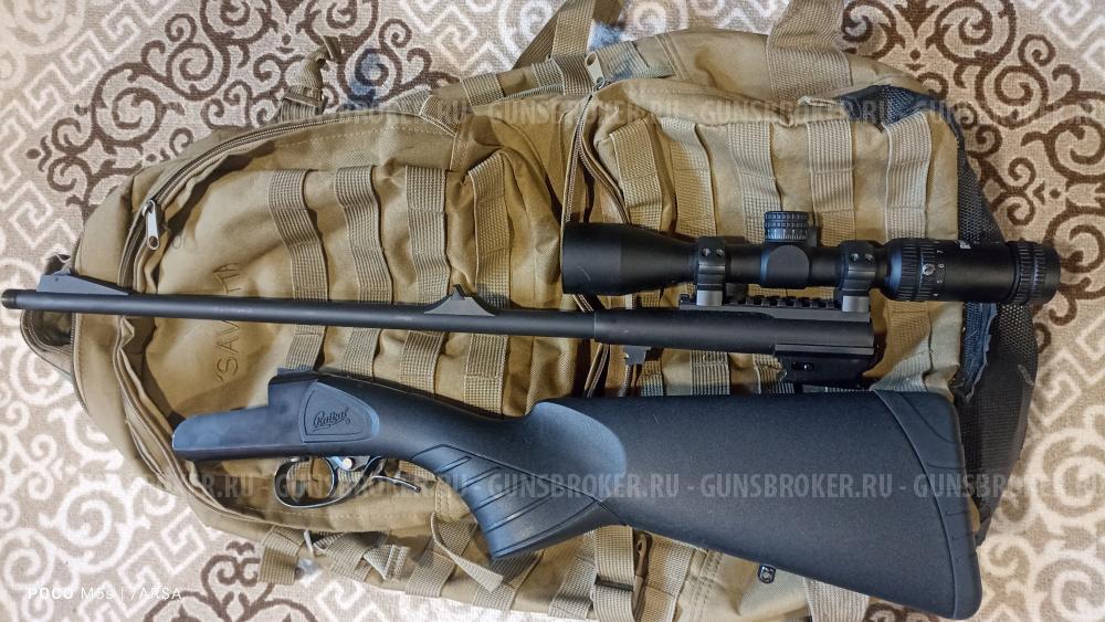 Лис , 223 кал, Ярославль