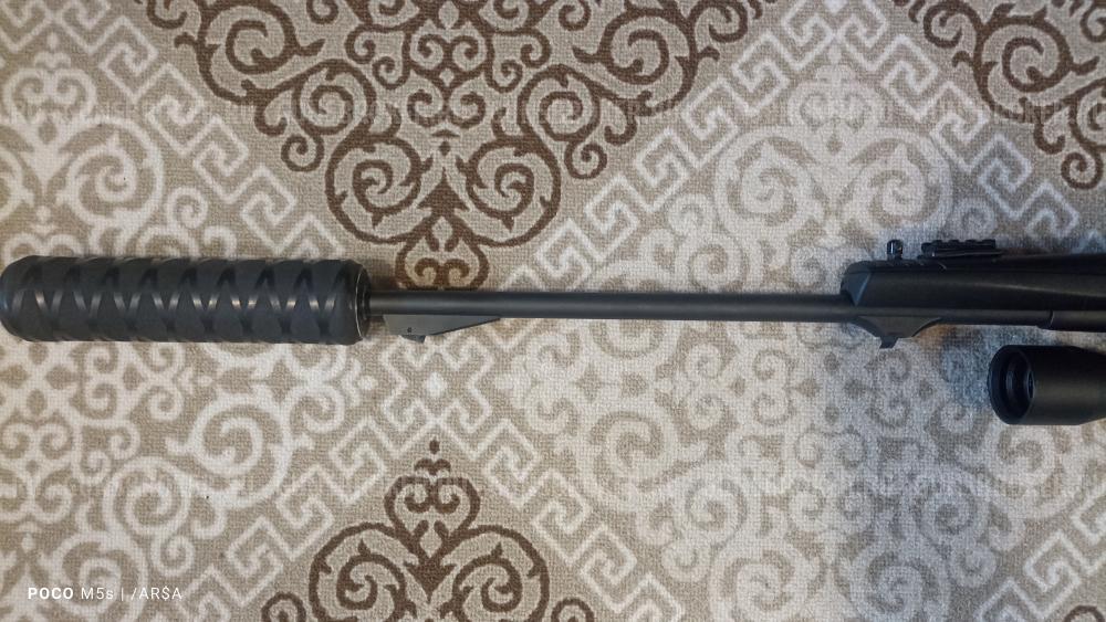 Лис , 223 кал, Ярославль