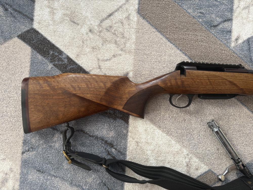 Лось - 145 308win