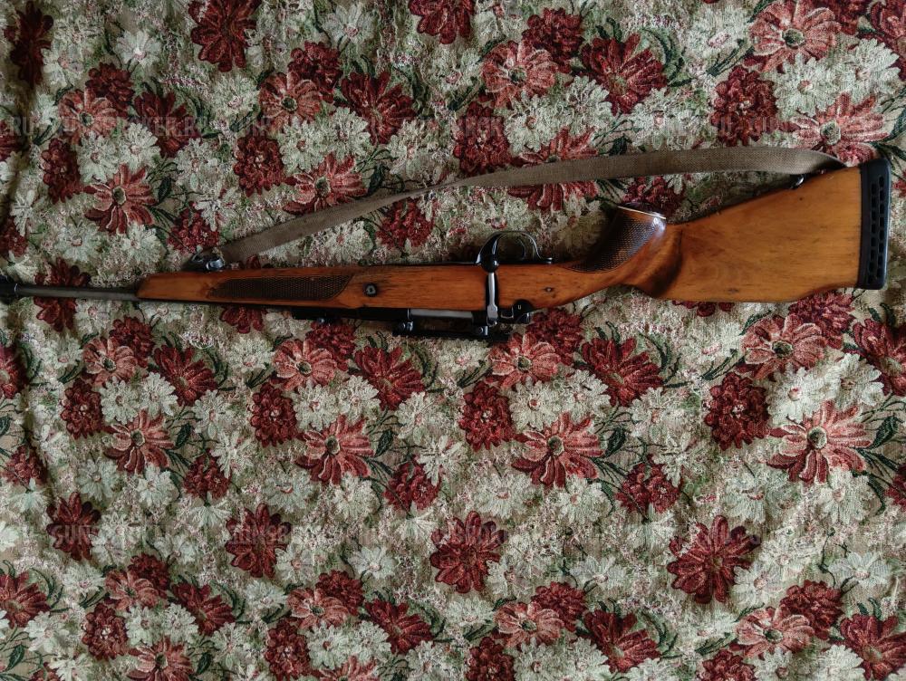 Лось- 4 кал. 308 win (7, 62×51) 