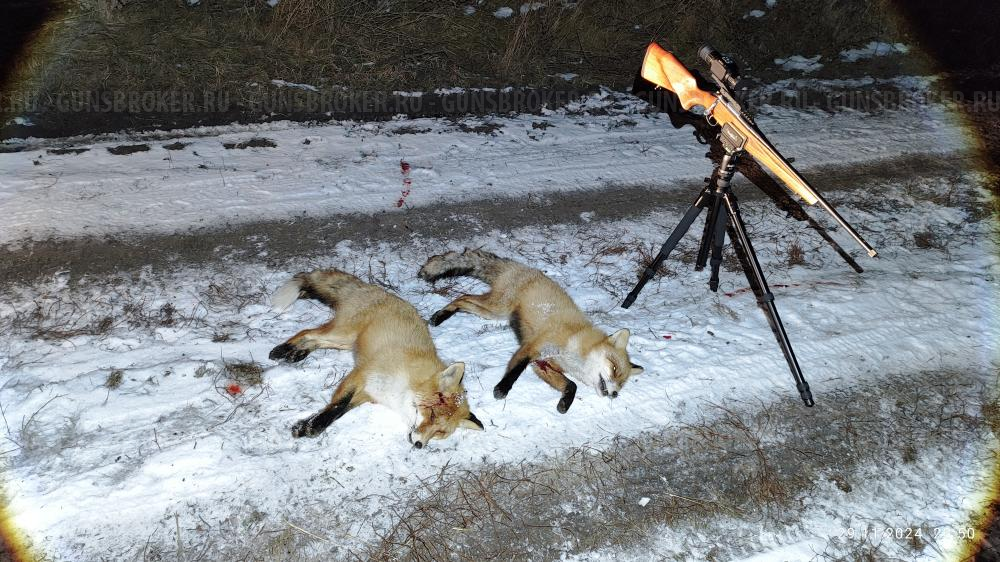 Лось 145 223 rem