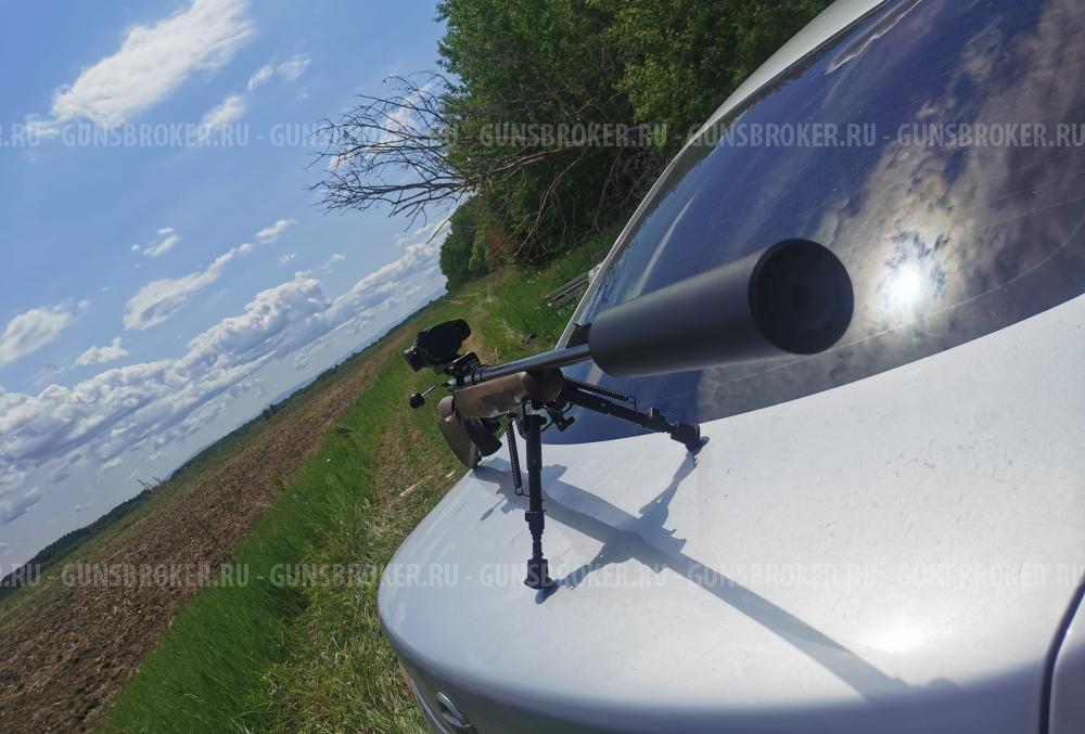 лось 145 308 кал