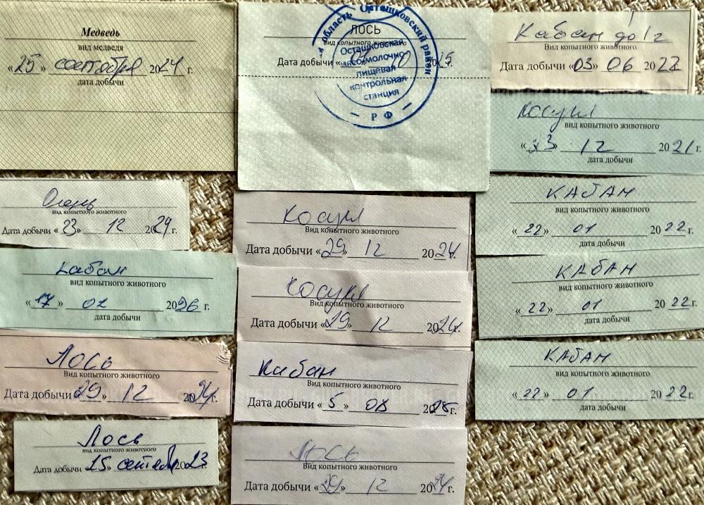 Лось 145 9,6х53, 