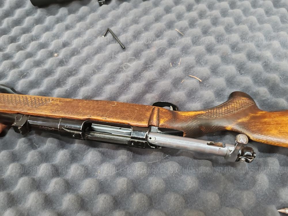 Лось 7 308