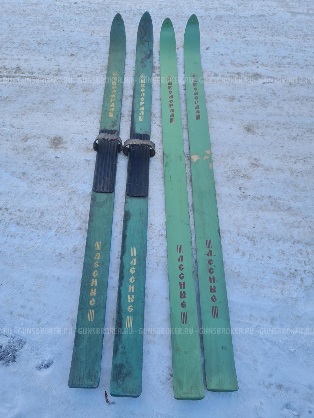 Лыжи охотничьи