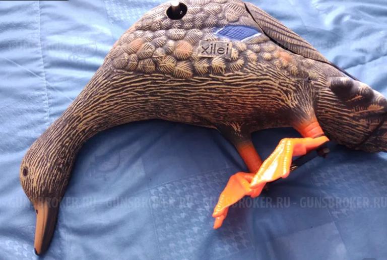 Махокрыл утка