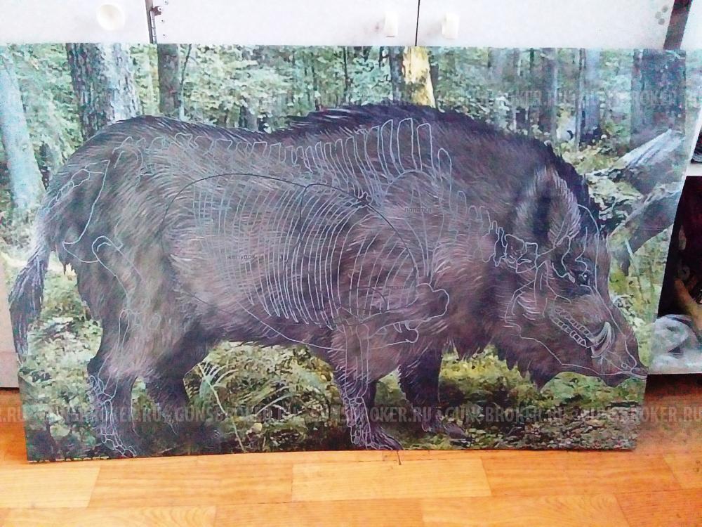 Мишень "Кабан Пятак" на картоне.