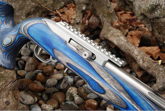 На RUGER 10/22 рукоятки перезарядки, планки, магазин релиз, Quad Rail + магазины 22lr