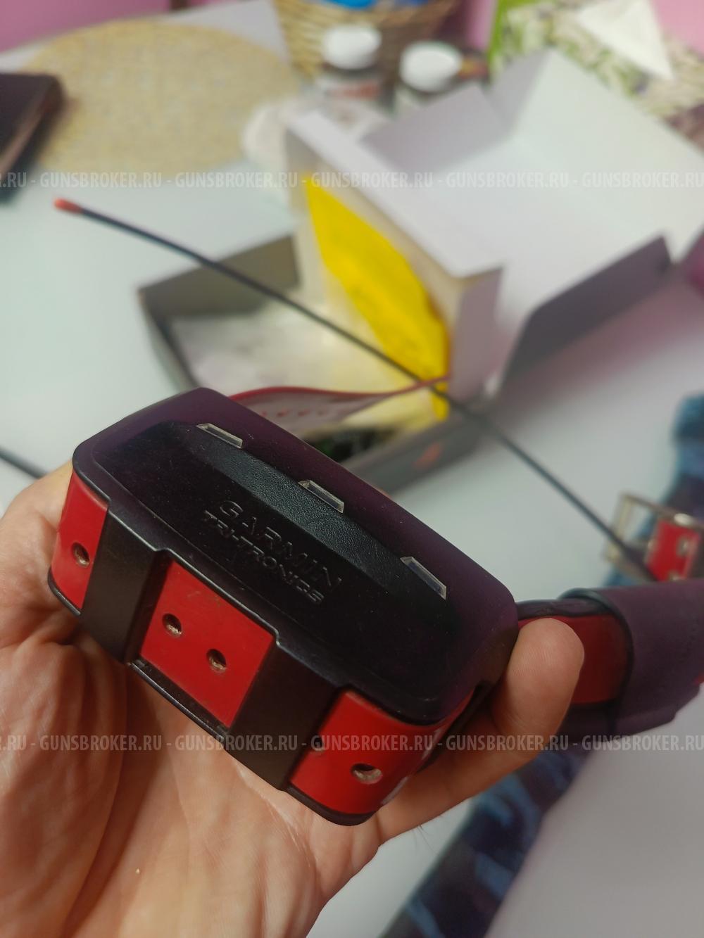 Навигатор Alpha 100 с ошейником T15