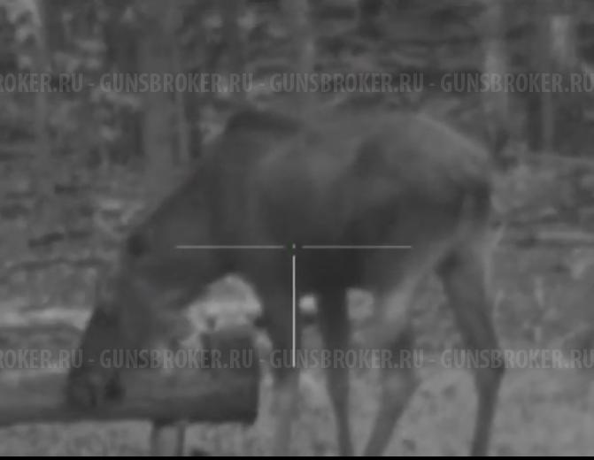 Цифровой Ночник pulsar N870