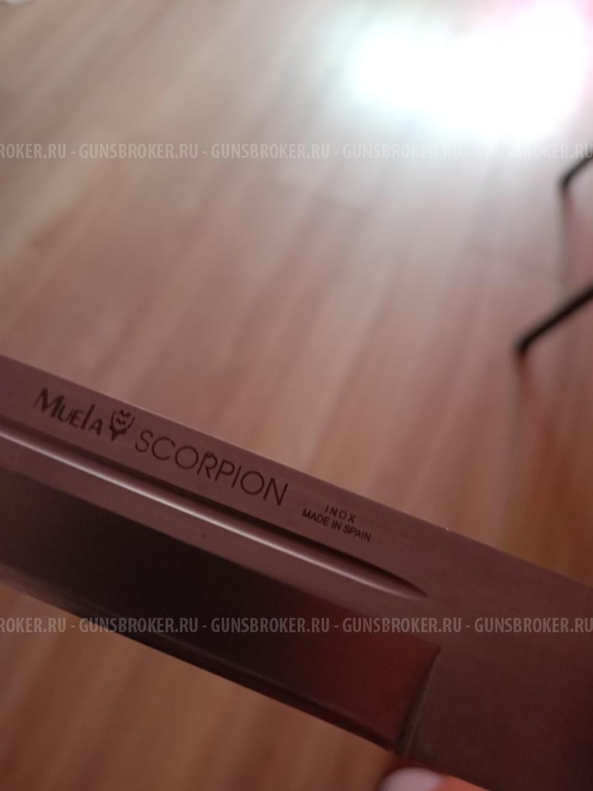 Нож охотничий SCORPION 19N