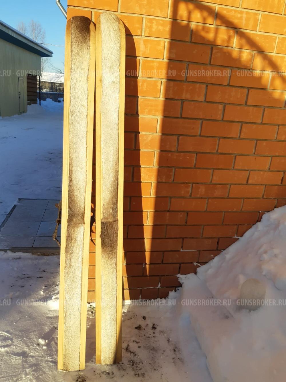 Охотничьи лыжи ТАЙГА