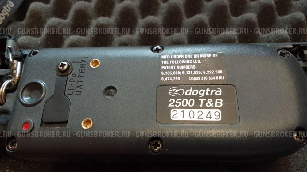 Dogtra 2500 best sale