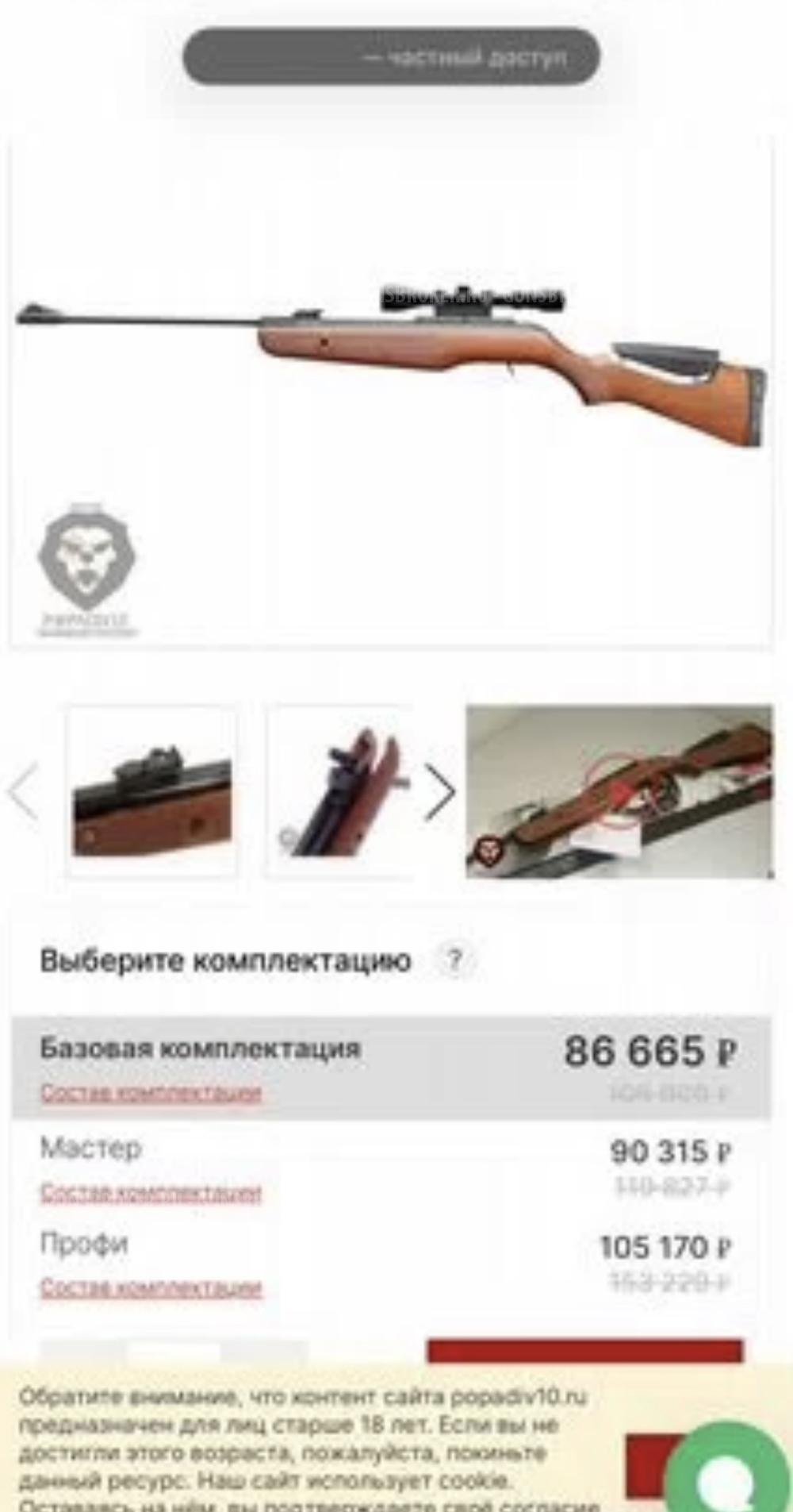 Пневматическая винтовка Gamo Hunter IGT 4,5 