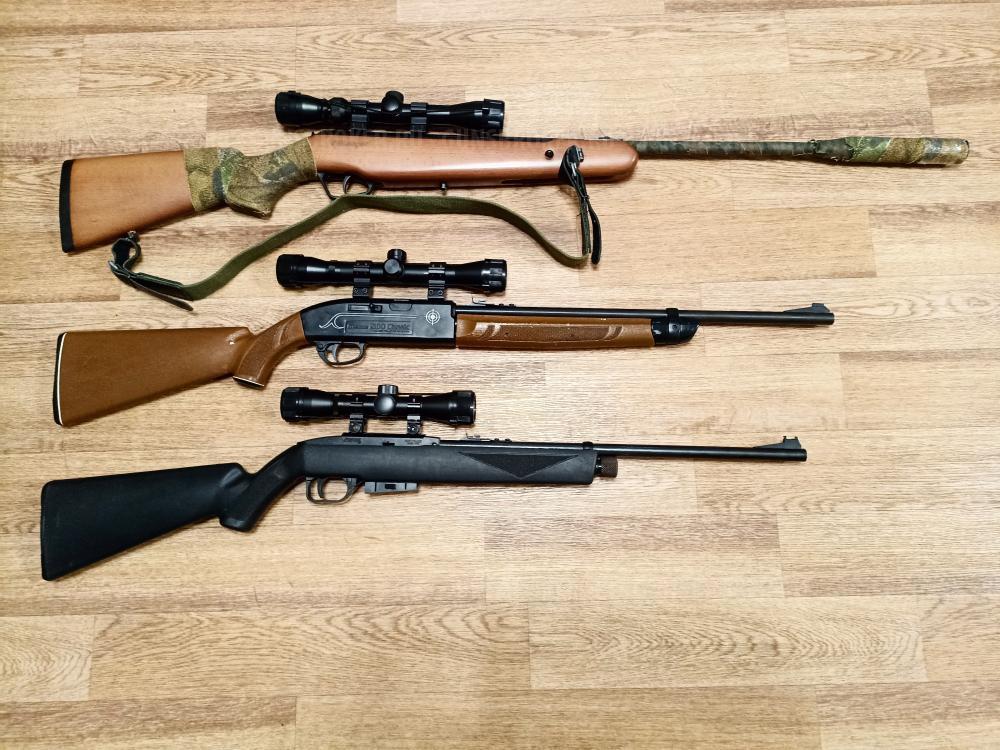 Пневматические винтовки Stoeger X10 Wood 4,5 мм и Crocman 2100 , 1077, М4-177