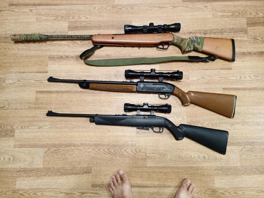 Пневматические винтовки Stoeger X10 Wood 4,5 мм и Crocman 2100 , 1077, М4-177