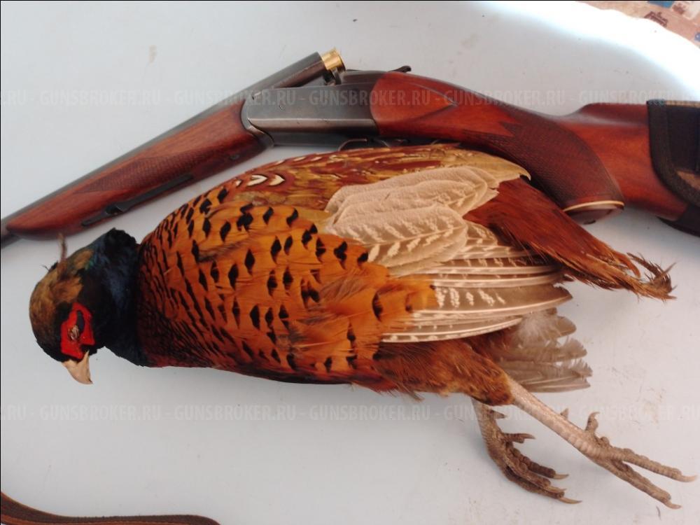 Продам ружье ИЖ 17