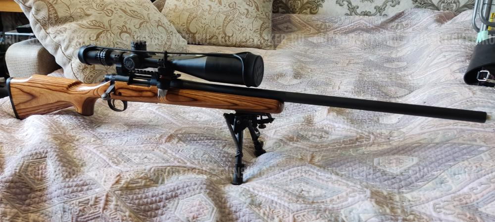 Remington 700 , 308 win