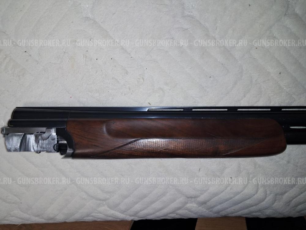 Renato Gamba Daytona StarCup