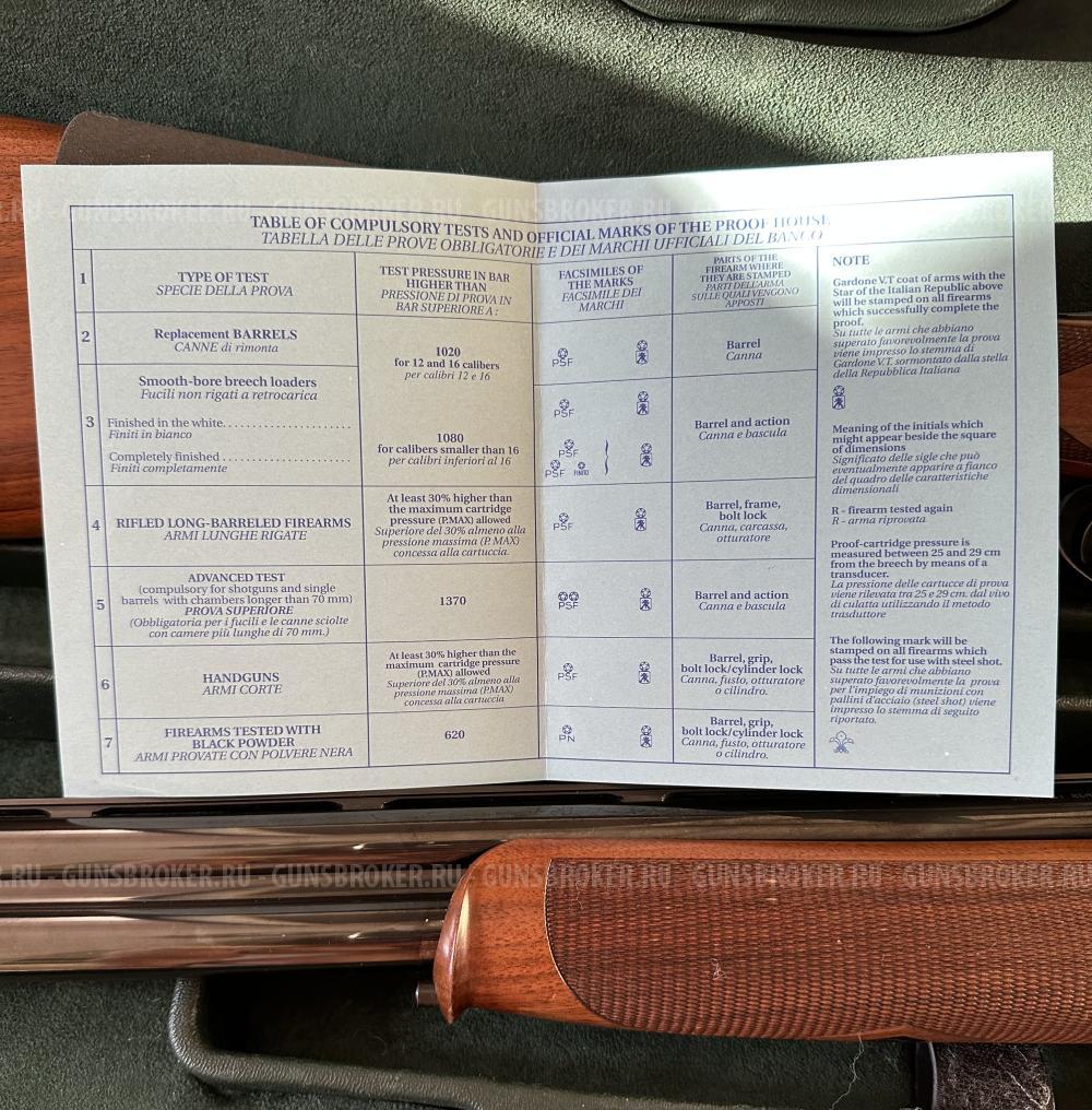 Rizzini Artemis