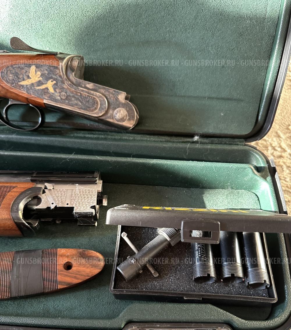 Rizzini Artemis